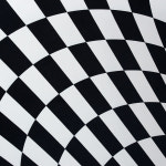 함정 3D 입체 착시매트 강아지 낚시매트