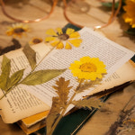 드라이 플라워 누름꽃 다이어리 꾸미기 책갈피 대형 압화 실사 스티커 -유칼립투스