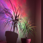 홈즈 오로라 무드등 은하수 우주 스타라이트 캠핑 수면등 감성 조명