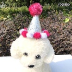 요기쏘 강아지 생일 축하 세트