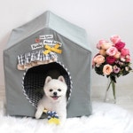 애견 패리스독 리본프레임 하우스