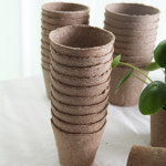 엑스플랜트 세경팜 지피 원형포트 사각포트 파종 삽목 육묘