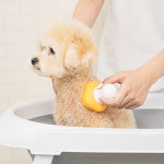 펫트리움 강아지 실리콘 목욕 샴푸 브러쉬