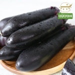 삼촌농장 우리땅에서 자란 제철 컬러푸드 가지 5kg