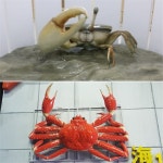 꽃게 모형 대게 조각상 대형 간판 옥외 전시 실외 음식점 홍보 인테리어 소품 FRP 조형물
