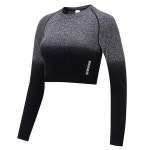 짐샤크 옴브레 심리스 롱 슬리브 크롭탑 tee1157