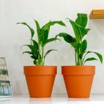 원형토기모형 플라스틱화분 2호 화분 받침대 3P SET