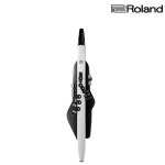롤랜드 전자 색소폰 에어로폰 입문용 ae-20