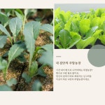 베란다 텃밭 이동식 화분 2단 3단