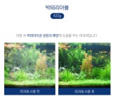 어항 스펀지 저면 상면 여과재 망 박테리아볼 420g