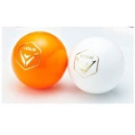 대덕 대덕 - 일산공300 2중구조 그라운드골프