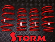 STORM 튜닝하트 STORM 스톰 다운스프링 - DM8 소나타