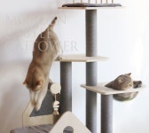 펫모닝 모던 캐슬 투명볼 캣타워