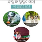 댕댕이 쿨스카프 여름 강아지 목도리