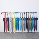 카르페디엠 무지 자동 12K 스마트 장우산 17컬러 곡자손잡이 남여공용