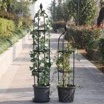 장미 아치 넝쿨지지대 넝쿨 시렁 화분 식물 지지대 울타리 펜스 장미아치 지름31 7 높이175cm