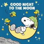 아이러브페인팅 DIY캔버스형 피너츠 그림그리기 스누피 굿나잇 25x25