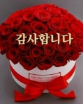 셀러허브 가전 미미 동글이유니를 도와줘 펫미용실 애견인형