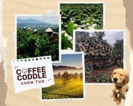 커피코들 100 천연 커피나무 강아지 장난감 츄토이 츄터그