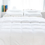 바자르 부드러운 실속형 사계절 이불솜 160X210