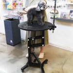 앙비뉴 보브 360도 회전식 에어펌프 애견미용테이블