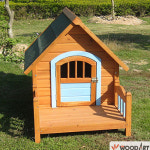 씨엠 CM 원목하우스 편백나무-FIR 대형- 애완용개집 실내개집 애견하우스 애완하우스 고양이집 강아지 DGH011L