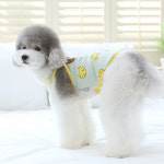 이츠독 몽이네 쉐이크 나시티