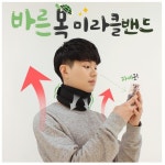 바른 목 미라클 밴드 보호대 고급형