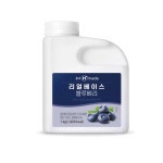 흥국에프엔비 흥국에프엔비 리얼베이스 블루베리 1kg