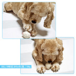 강아지장난감 우쭈쭈 애니멀 팜 라텍스 토이