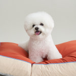 보웰 보웰 뜯김없는 알러지케어 방수 강아지방석 고양이 애견방석 쿠션 솜포함