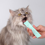 닥터바이 캣 브레스 8g x 30포