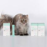 닥터바이 캣 브레스 8g x 30포