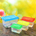 반투명 어항 물고기 채집통