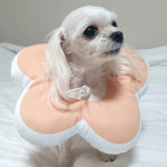 꽃피는 강아지 고양이 쿠션 넥카라 M 목 깔대기 WDD7643