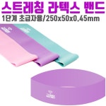더바디시크릿 라텍스 OZ 밴드 0 홈트레이닝 헬스