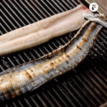 고창 선운산 풍천장어 1kg