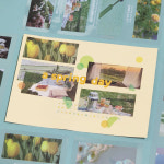 PET 감성 풍경 스티커 봄날