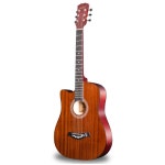 브라운 입문자 통기타 여성용