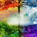 사계절 나무 3D 사각 보석십자수 30x40