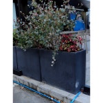 시멘트 사각 야외 모던 키높이 대형 화분 인테리어