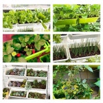 키밍 다용도 베란다 텃밭 화분 4단 8단 후크걸이 다층