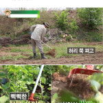 도시농부 잡초제거기 3R 자재