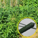 굵은 텃밭 화분 식물지지대 3P