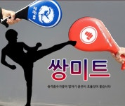 태권도 쌍미트 발차기 운동 판촉 사으품