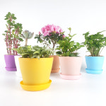 플라스틱화분 테이퍼 빈화분 소형 작은화분 어린이집