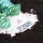 모두의가든 코코피트 백와 달팽이 집 키우기 육지거북이 흙 바닥재 코코핏 2L 1개