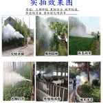 농업용 기 가솔린 연막기 방역 용 백금 파이프 벌레 연막 살포기