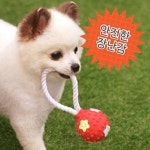 패리스독 패리스독 로프스타 라텍스토이 랜덤발송