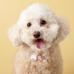 금홍팬시 시고르아기 팬던트 목걸이 생명공감 유기견 캠페인